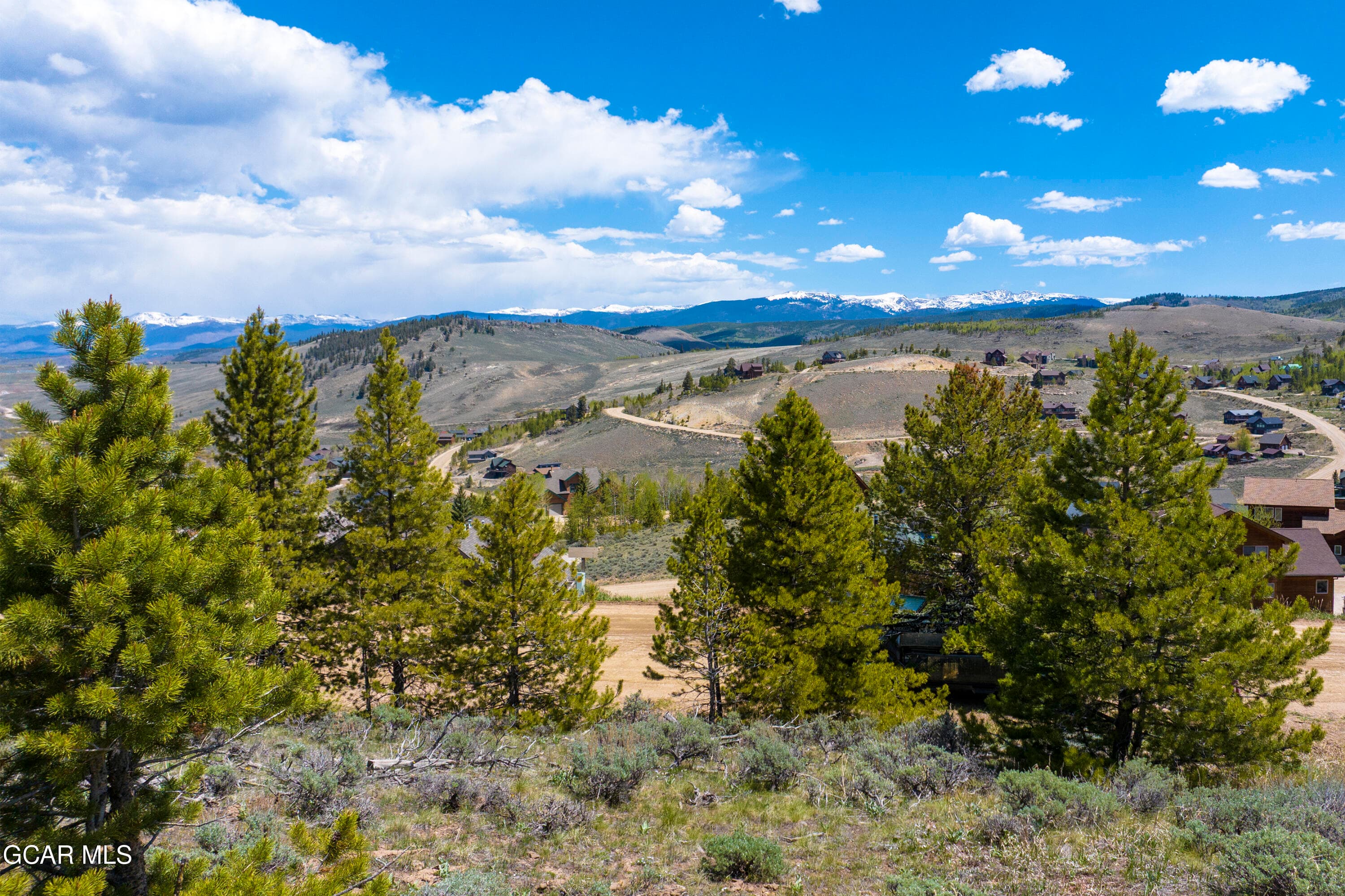 Mature Trees