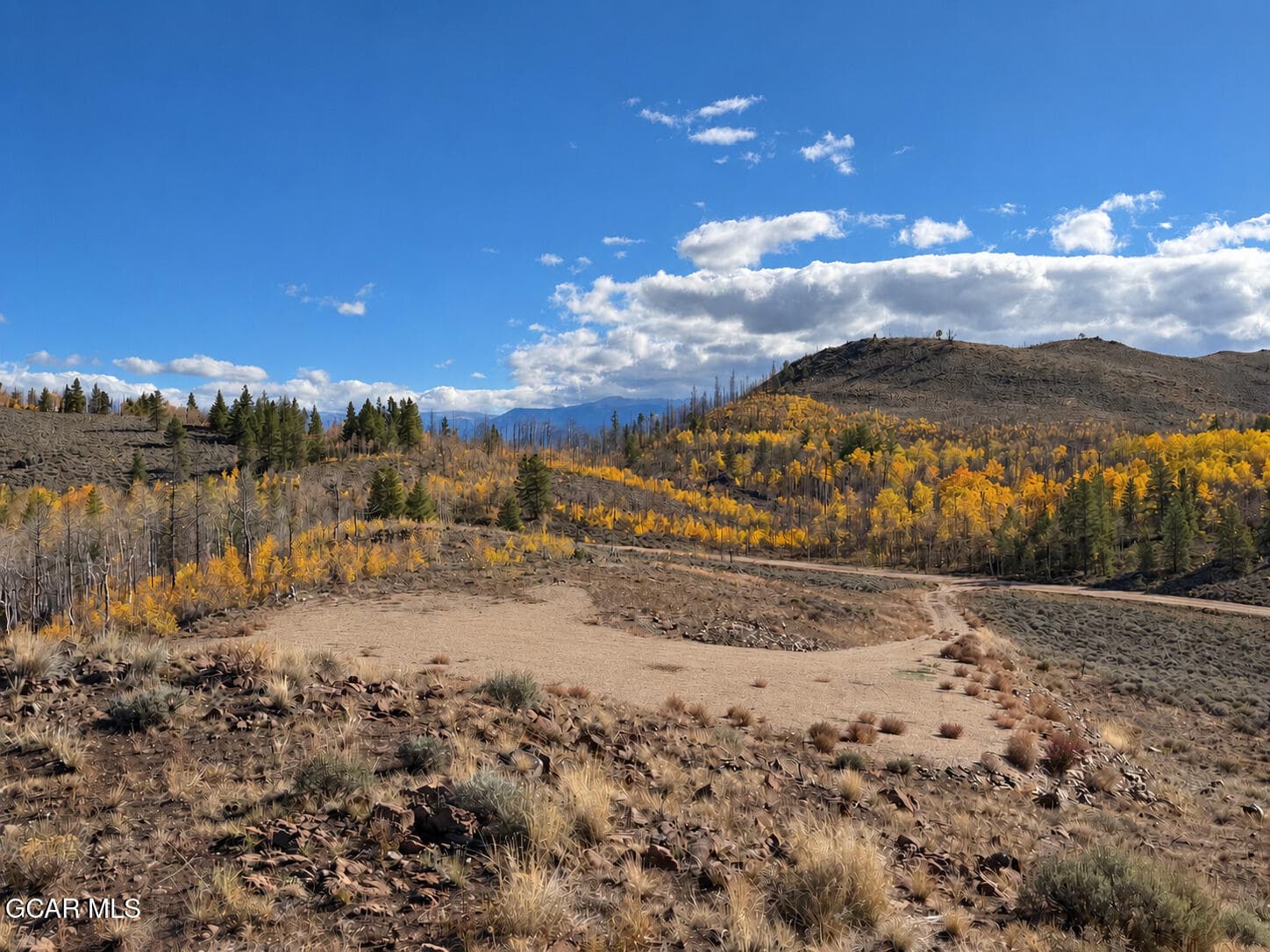 Driveway and Fall Colors