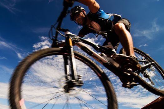 Trestle Bike Park